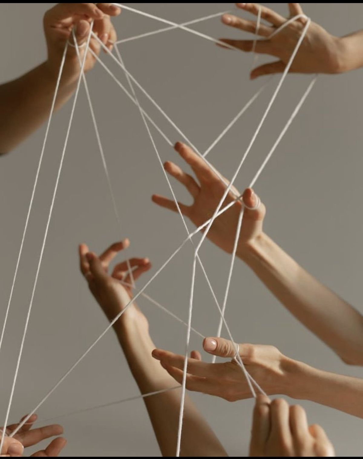 approche systémique